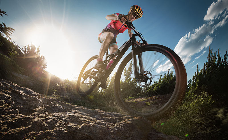 Best bike brands for casual 2025 riding