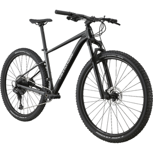 Cannondale single speed mtb top