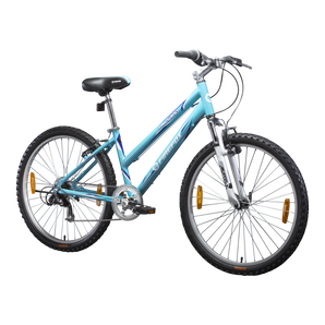 Tailwind bicycles 2025