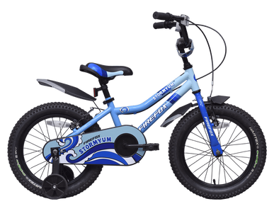 Cycle for Kids Buy Kids Bike Online at Best Price